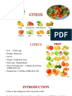 Citrus: The Leading Tree Fruit Crop