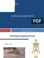 Sistema esquelético: ossos e articulações