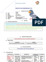 Proyecto de Aprendizaje N 2 Paloma