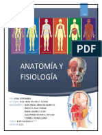 Anatomia y Fisiologia Ceave