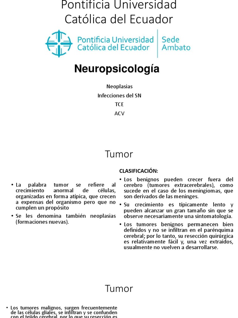 Neuropatologías PDF