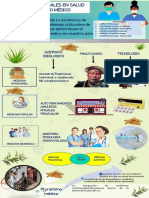 SISTEMAS CULTURALES EN SALUD PLURALISMO MÉDICO