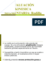 EVALUACIÓN KINESICA SEG. Rodilla