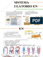 Biologia S.C Plantas, Animal y Humano