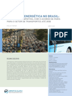 Brazil Transport Policy Paper PT