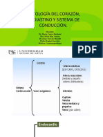 Practica 4 de Histologia