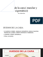 Semana 4. Huesos de La Cara. Dra. Darlen Díaz (Autoguardado)