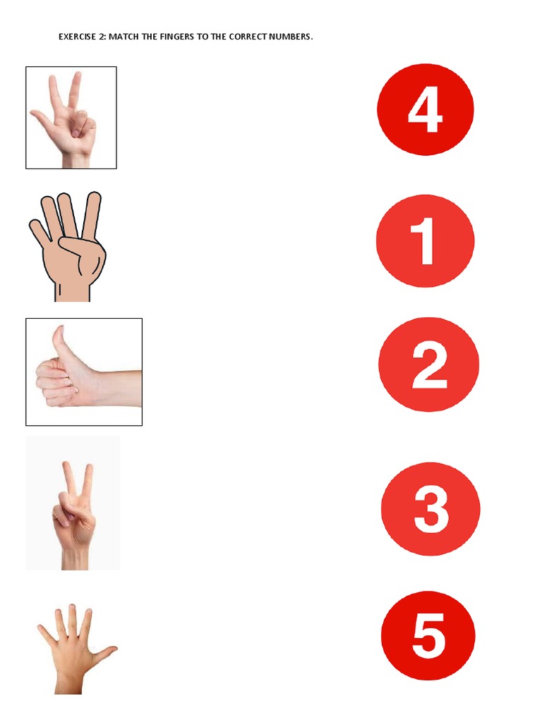 Exercise 2 numbers pdf