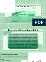 Kelompok 2 Sistem Reproduksi