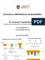 Clase 11. Estructura y Metabolismo de Nucleotidos BQ BQ I-2022