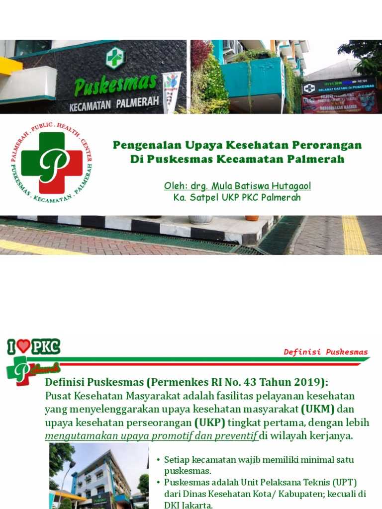 Upaya Kesehatan di Puskesmas Palmerah | PDF