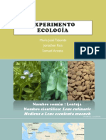 Experimento Ecología Lentejas