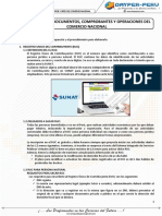 S10 - Documentos, Comprobantes y Operaciones Del Comercio Nacional