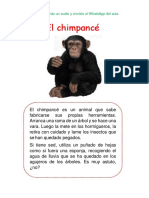 El Chimpance