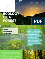 The Ecology of A Forest