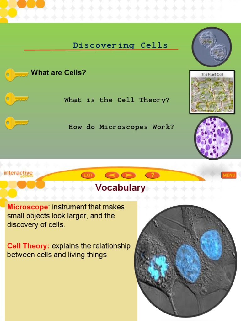 Cell and Cell Theory PDF Microscope Science