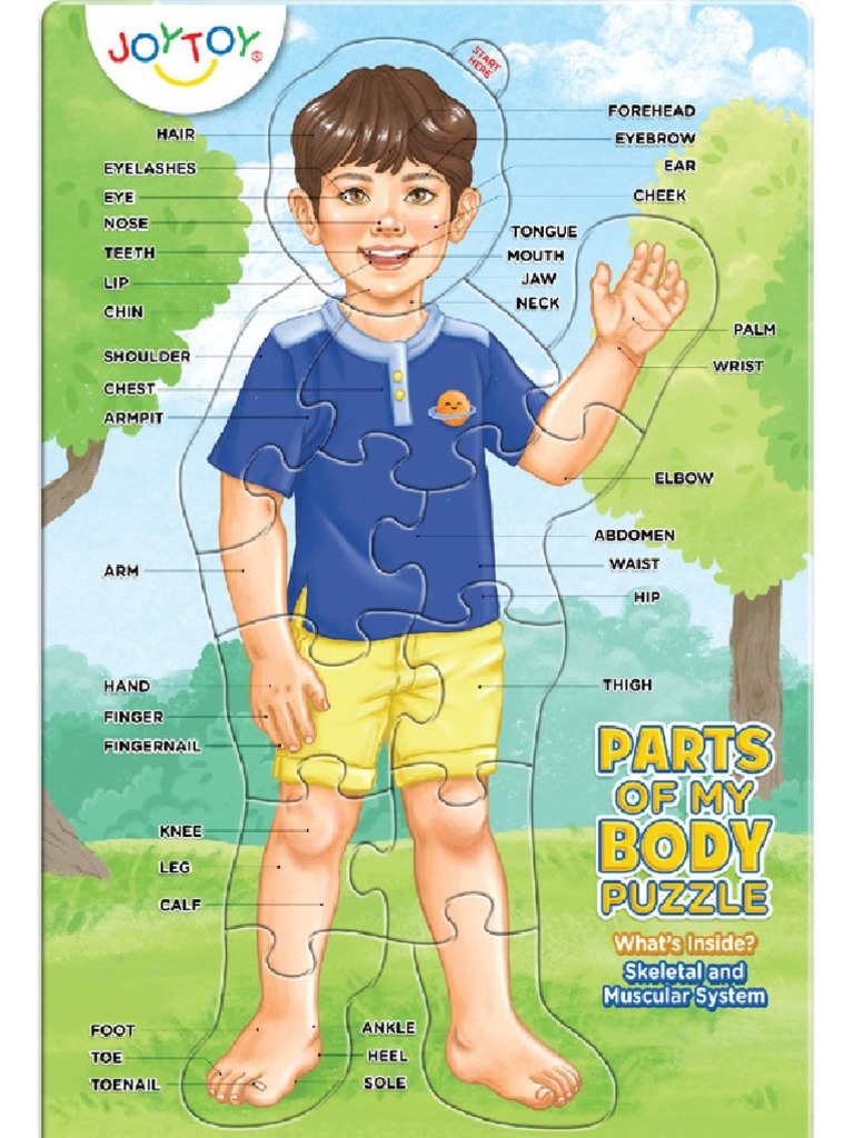 Parts of The Body PDF