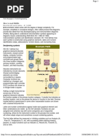 P&ID Interlock Design Guidelines | PDF | Automation | Engineering