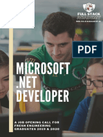 Microsoft .Net Developer 2