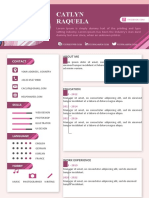 Modern CV Template Style