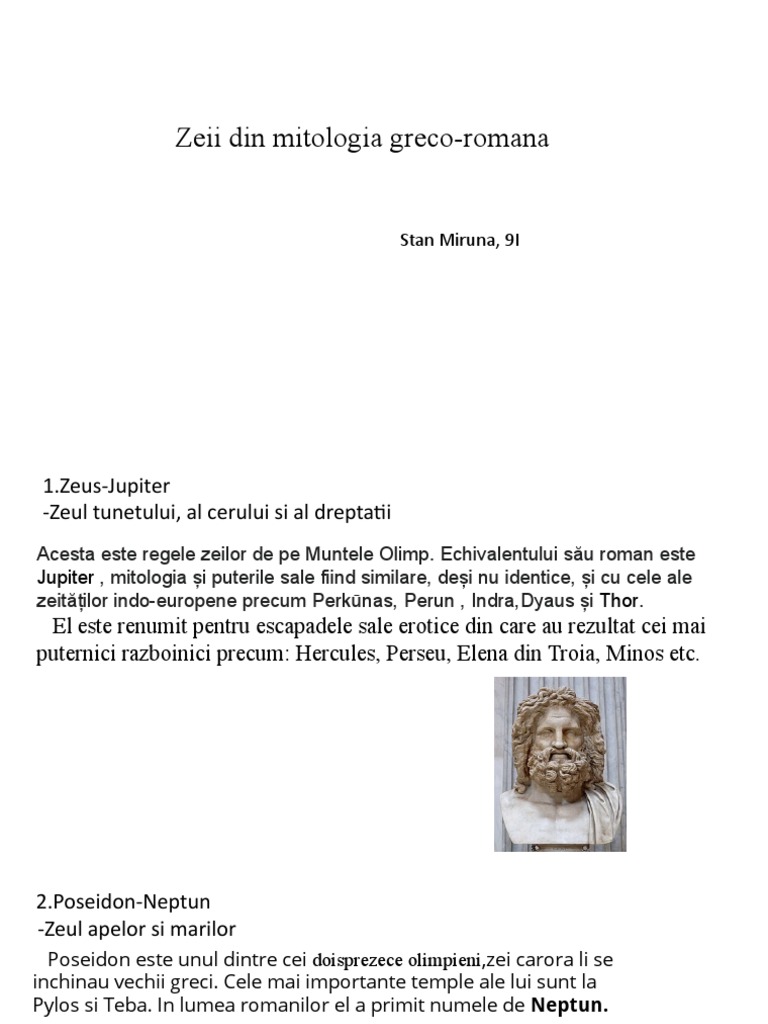 Proiect Zei | PDF
