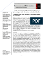 Organic Amendments Influence Mustard (Brassica: Juncea) Growth in Chromium Contaminated Soils