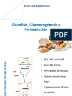 01 Glucolisis Gluconeogénesis y Fermentación