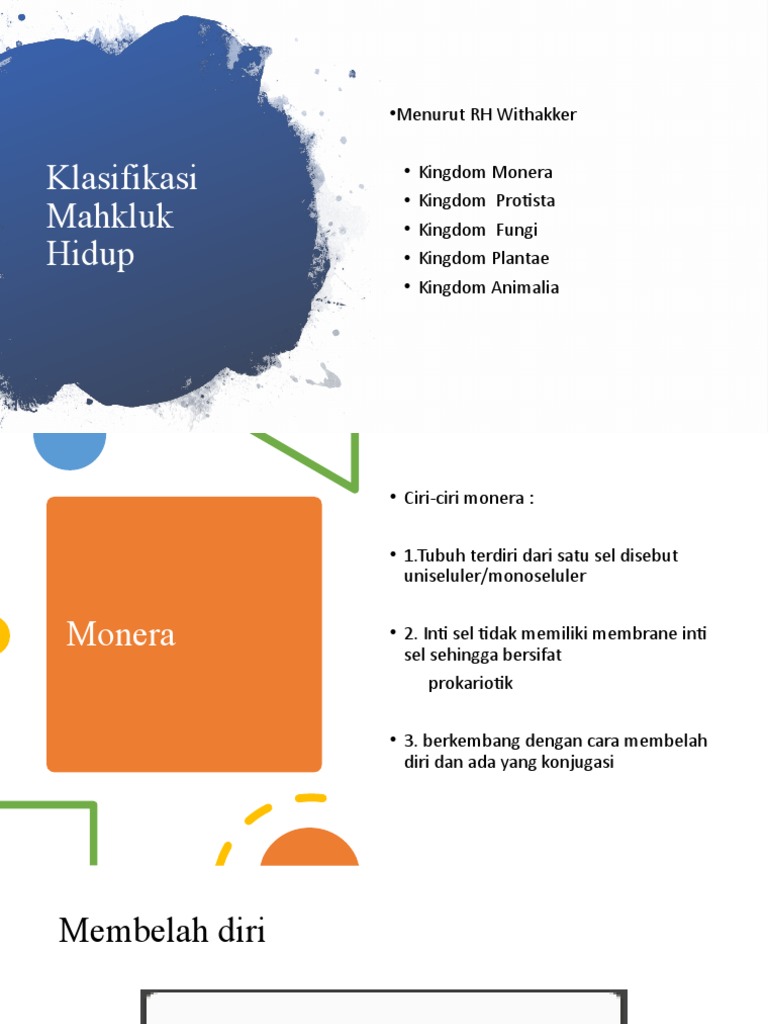 Ciri dan Konjugasi Monera dan Protista | PDF | Pengembangan Diri | Sains &  Matematika