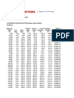 Survey Brujo 1X - FINAL 12 25