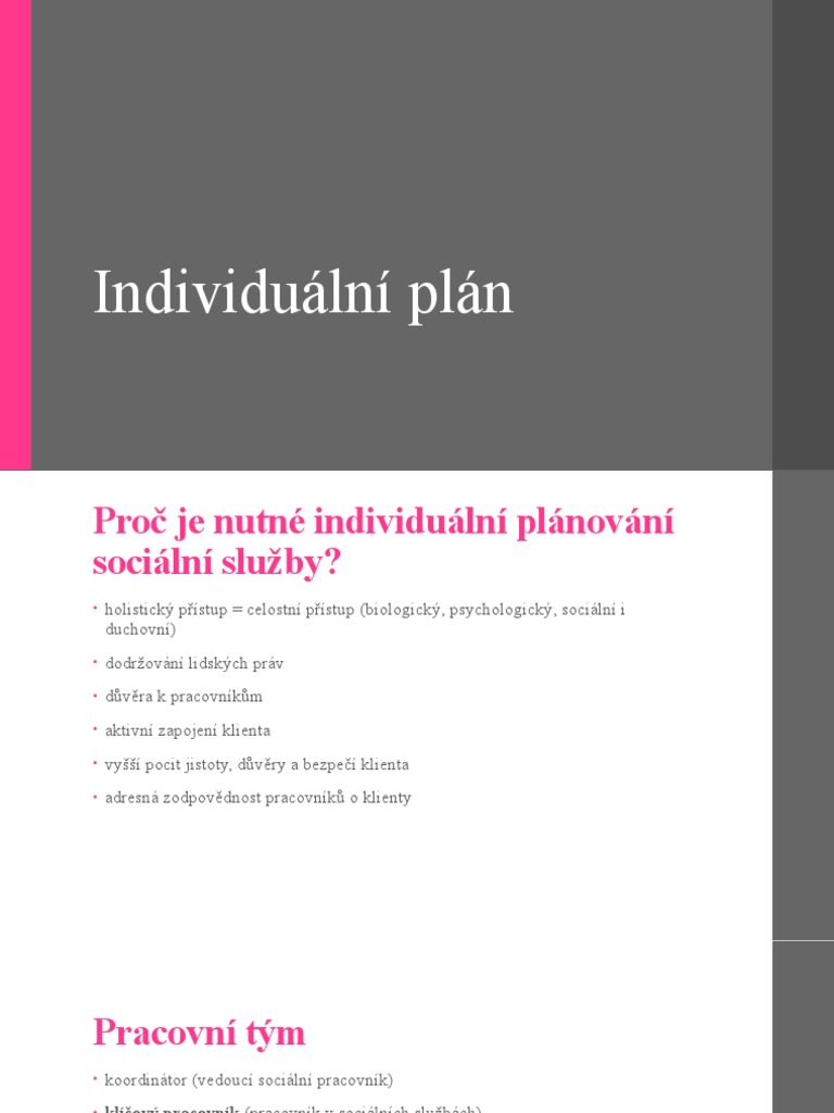 Individuální Plán | PDF