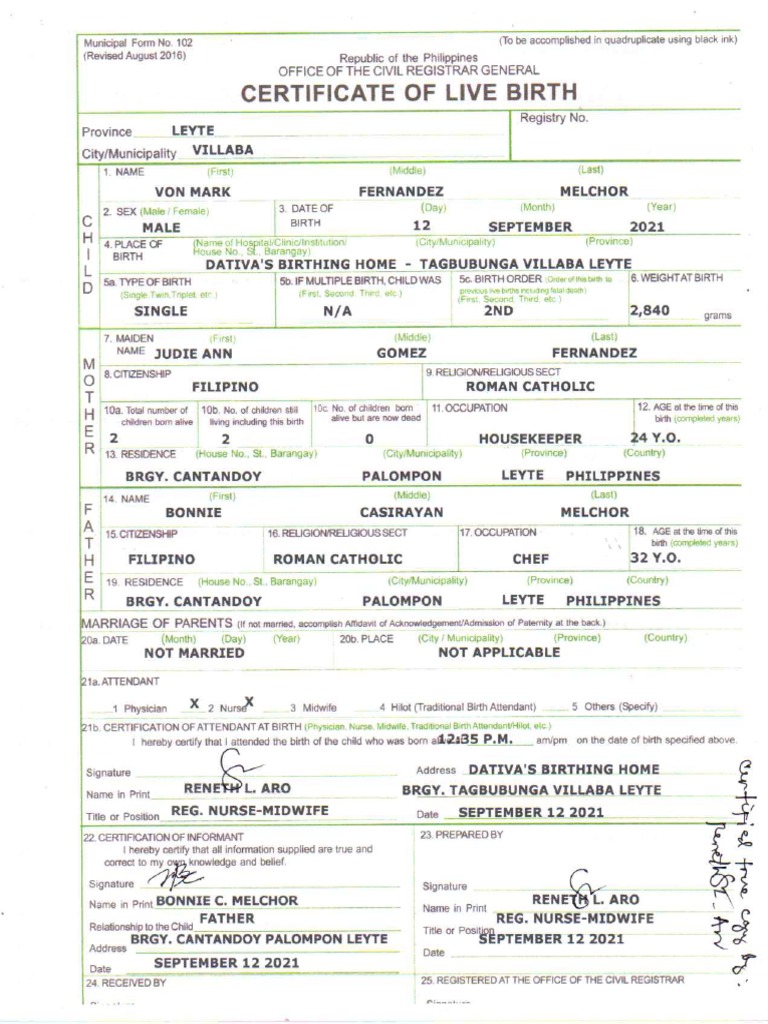 NB Livebirth | PDF