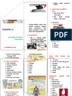 Leaflet-Dm - E5