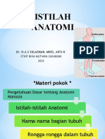 Istilah Anatomi