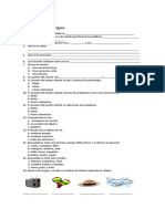 Evaluación de Lengua 4