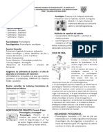 Resumen Teorico de Parasitologia - Dra Guevara 2017