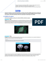 La Diversite Genetique Des Individus 3