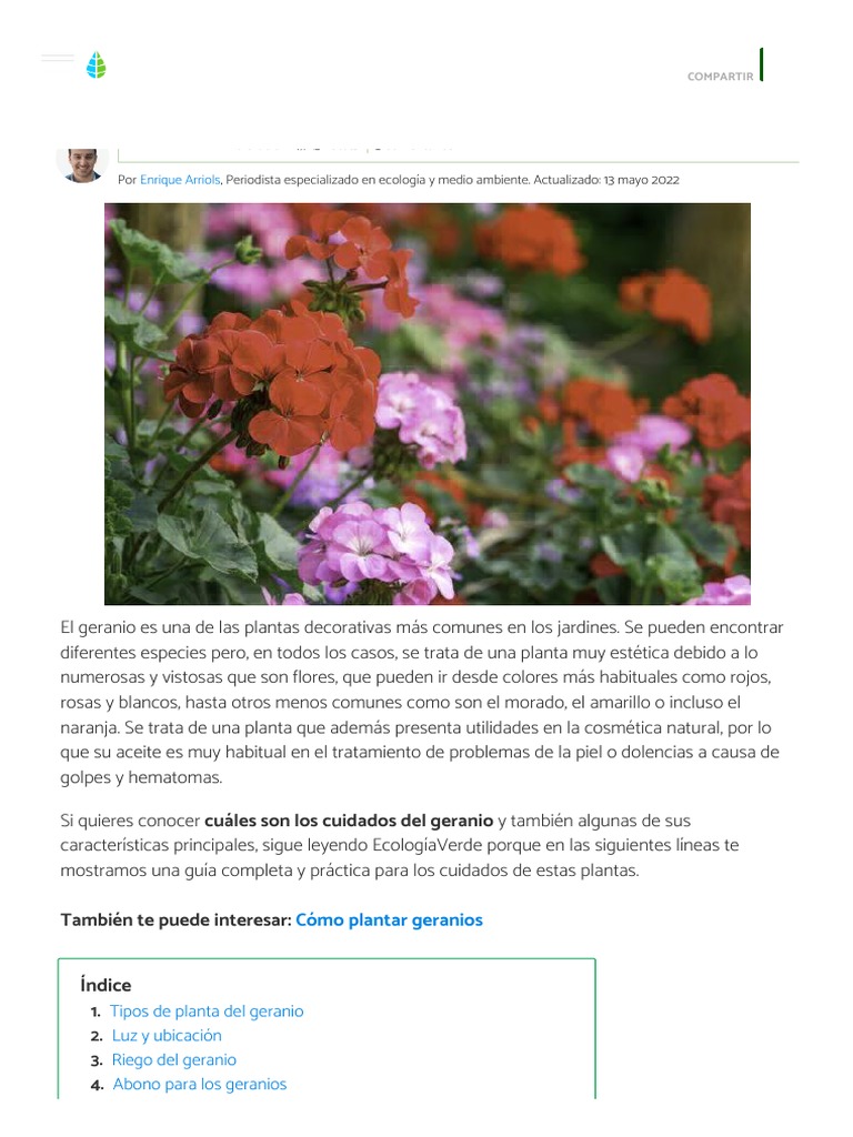 Cuidados Del Geranio - Guía Práctica y Claves | PDF | Plantas | Botánica, image size:768x1024