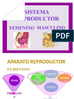 Repreductor Femenino y Masculino Lu