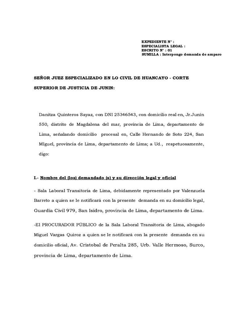 Demanda de Amparo por Debido Proceso | PDF | Debido al proceso ...