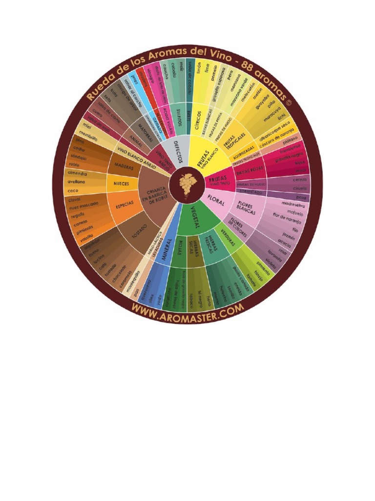 Rueda Aromas Del Vino | PDF