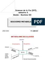 Métabolisme Du Glycogène S6 SVI 20-21 FSBM PR - lebrAZI