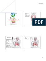 Capítulo - Sistema Respiratório