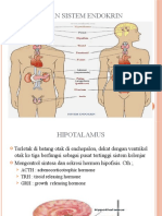 Anfis Sistem Endokrine