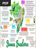 Slides Biomas Brasileiros | PDF | Florestas | Floresta Amazônica