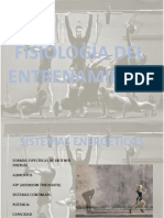 Fisiología del entrenamiento: Sistemas energéticos y fibras musculares