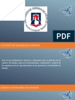 Seguridad - e - Higiene 2