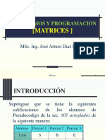 MATRICES PSeInt Clase Ejercicios