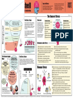 Stress in A Nutshell 2