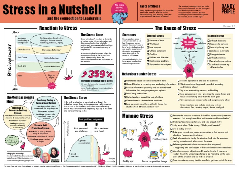Stress in A Nutshell 2 | PDF | Stress (Biology) | Anxiety