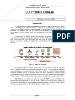 1ro Biologia Guia-1 Uniad-0 Celula-Y-Organelos